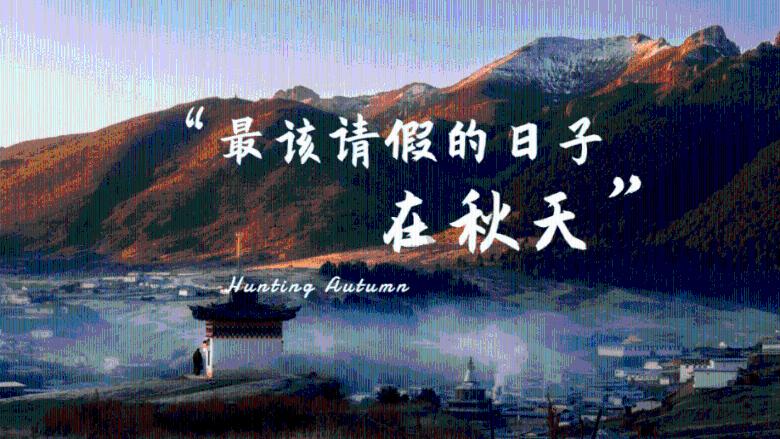辽宁省两会观察:山海关不住 孔雀向北飞